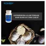 Suplemen Garlic untuk Obat Darah Tinggi dan Gula tinggi yang Mumpuni