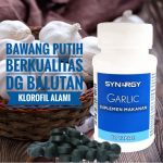 Jual Obat Kolesterol Bawang Putih yang Mumpuni dari Synergy adalah Garlic