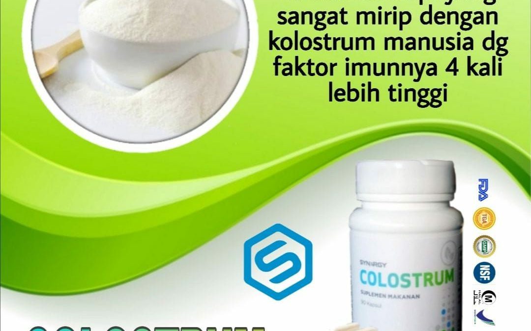 cara meningkatkan imunitas tubuh dengan konsumsi colostrum synergy 0821-2260-2989